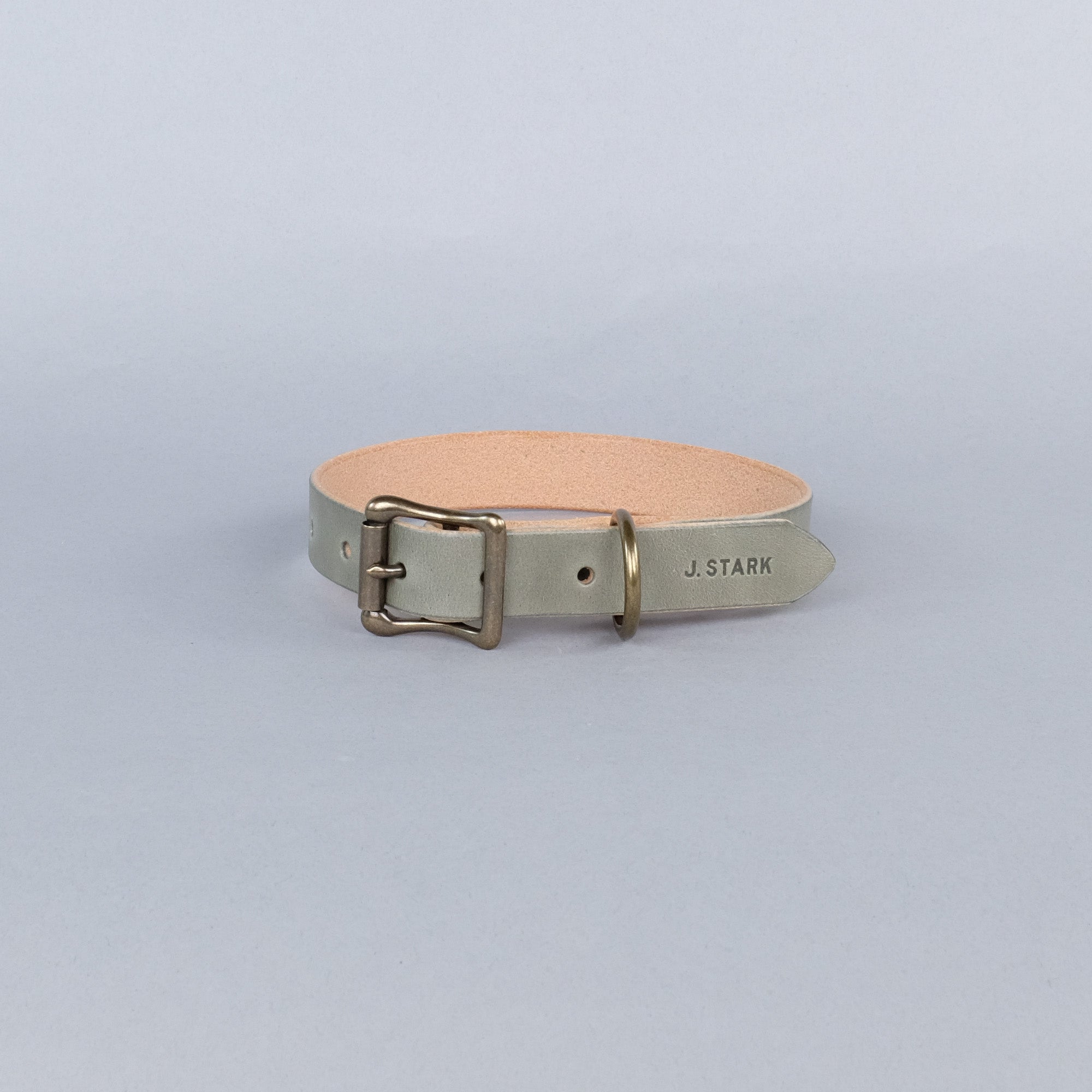 Seymour Dog Collar Standard