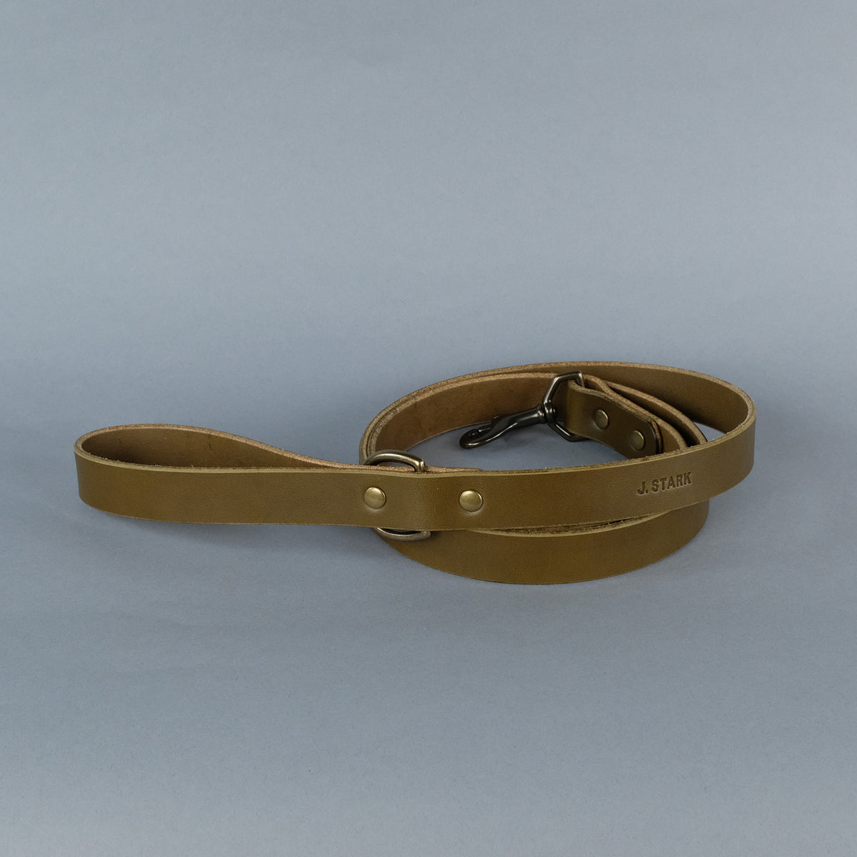 Carter Dog Leash Standard