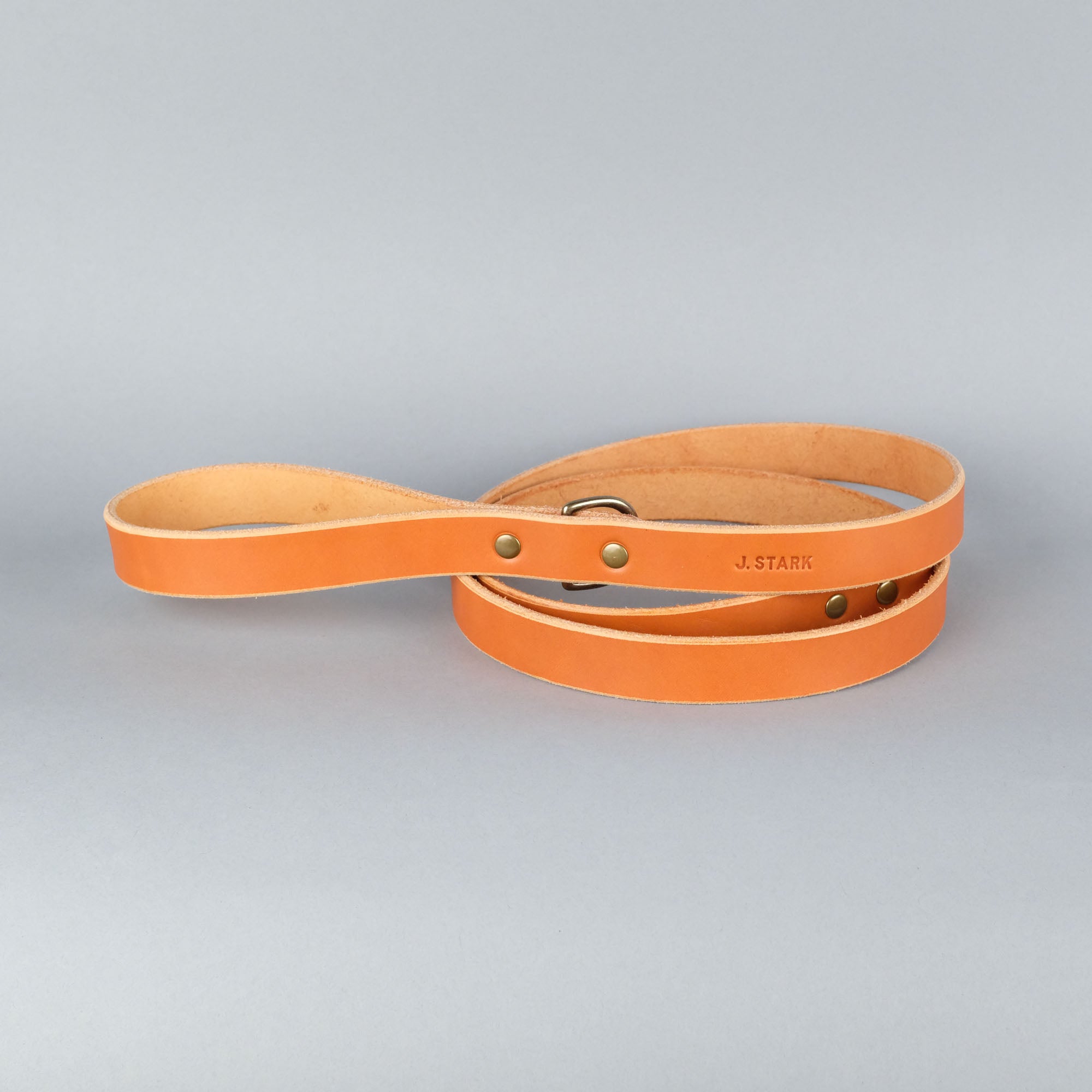 Carter Dog Leash Standard