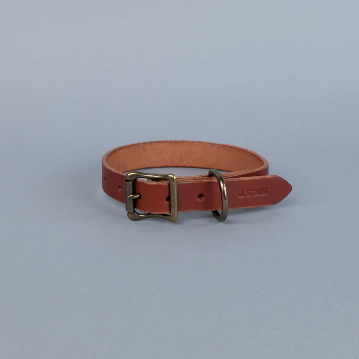 Seymour Dog Collar Standard