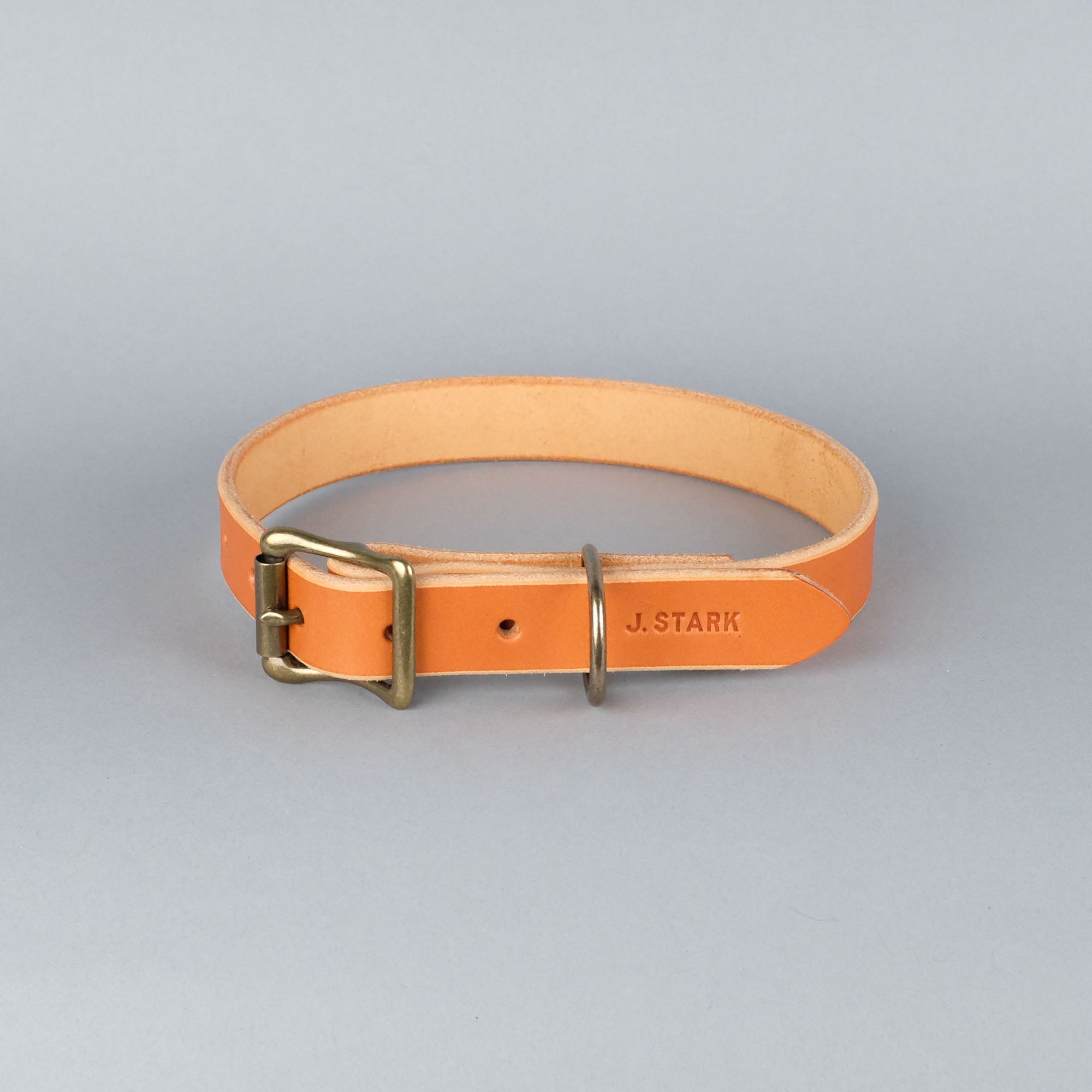 Seymour Dog Collar Standard