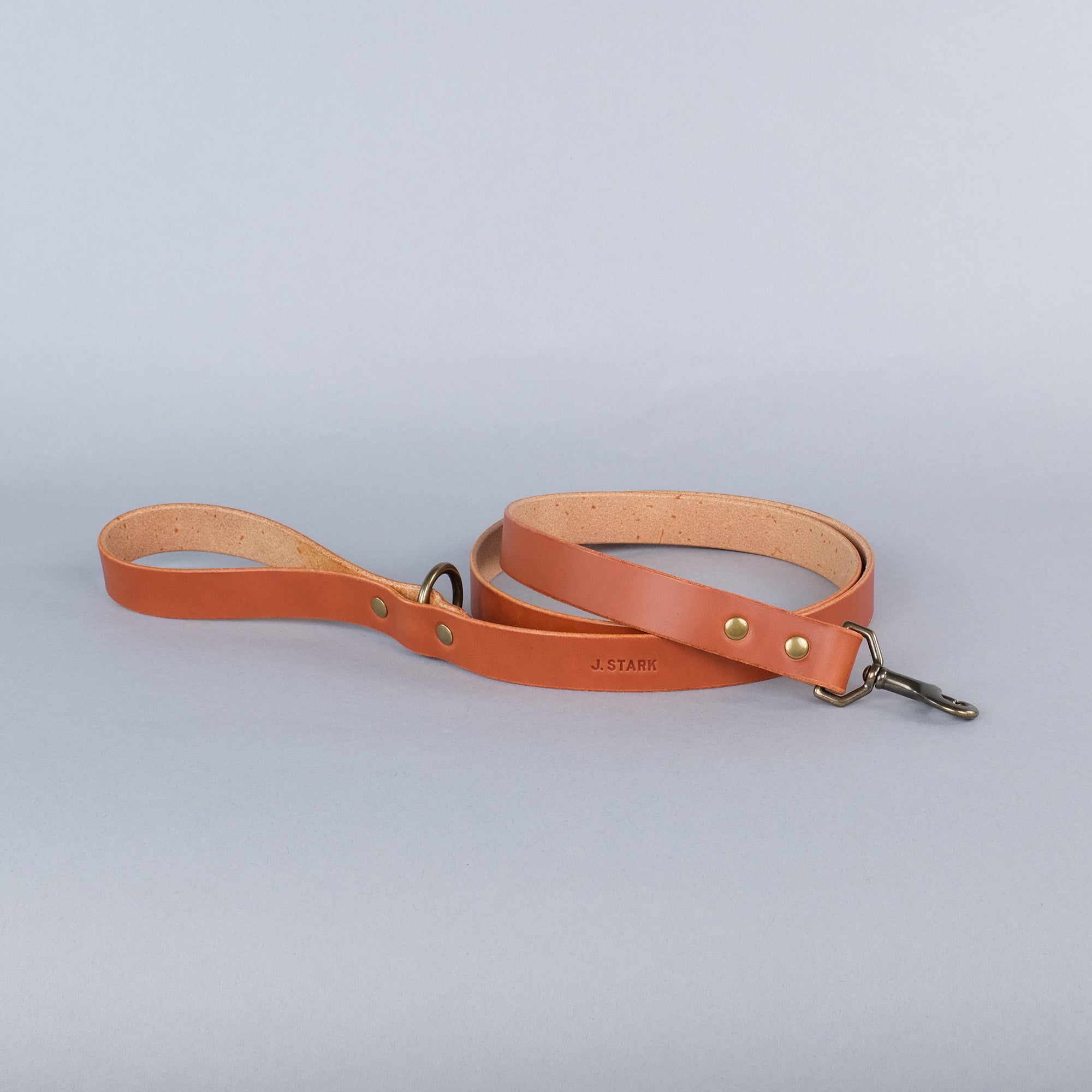 Carter Dog Leash Standard